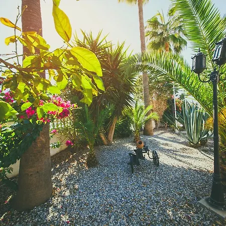 Hotel Pine Bay Boutique & Cakistes Restaurant 3*